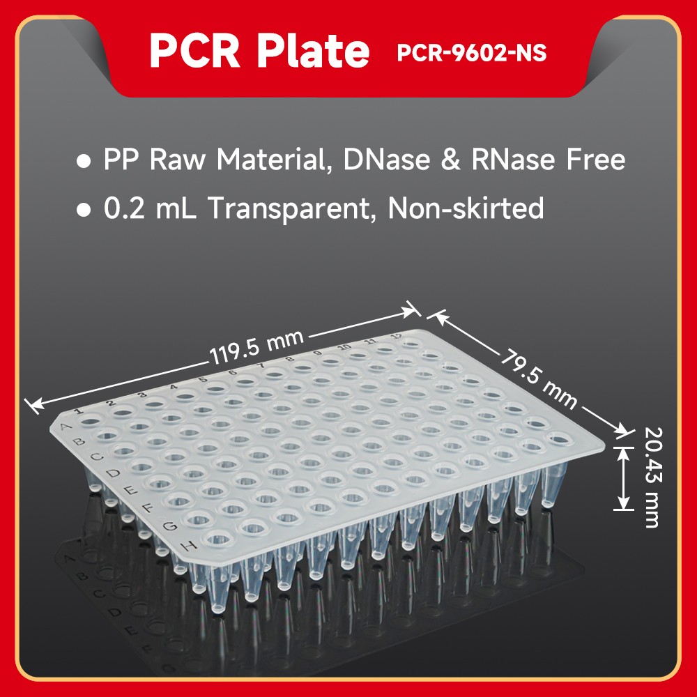 PCR Plate (Transparent), 0.2 mL Non-skirted